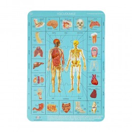 Vücudumuzu Tanıyalım Puzzle 35 Parça