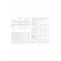Gebe-Bebek-Çocuk Psikososyal İzleme Formu 50 Yaprak A3 Çift Yön